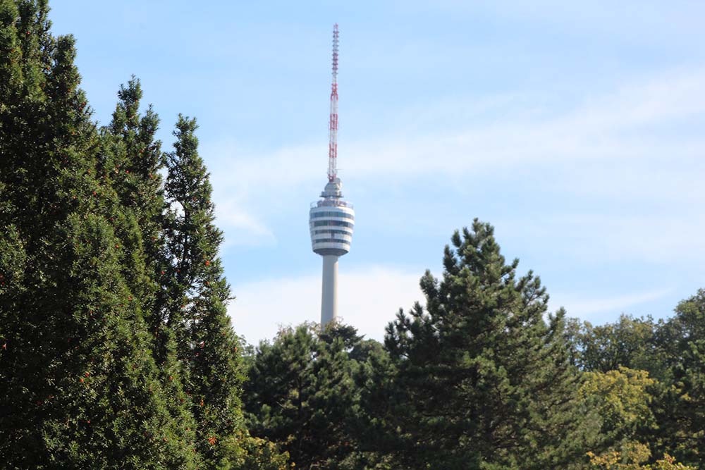The Tv tower